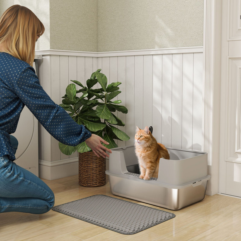 Stainless Steel, PP Litter Box