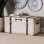 Coffre de rangement Zachariah Baxton Studio Nevio