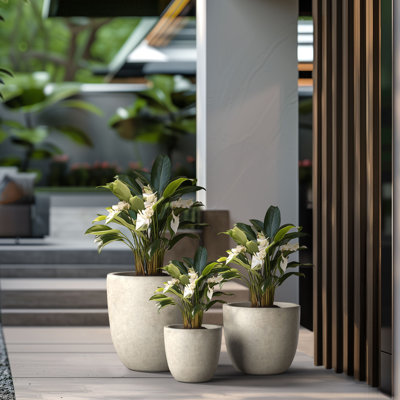 Jardinière Lughan