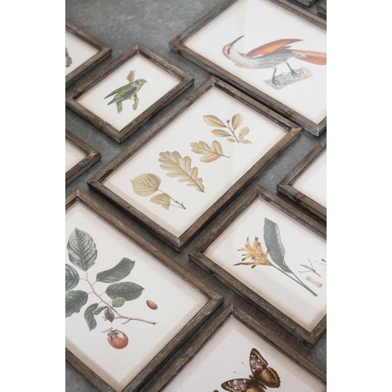 Eclectic Multicolor Bird and Botanical Wood Framed Wall Art Set