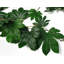 110cm Faux Plant