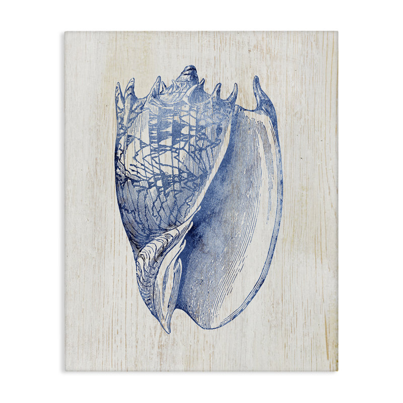 Nautique douce toile de conque bleue, design par Susan Arnot, H 20 po x l 16 po