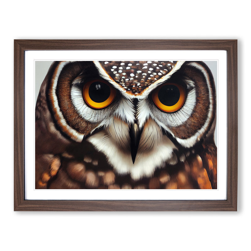 Unimaginable Owl - Framed Print, 46cm H x 64cm W x 2cm D, Walnut