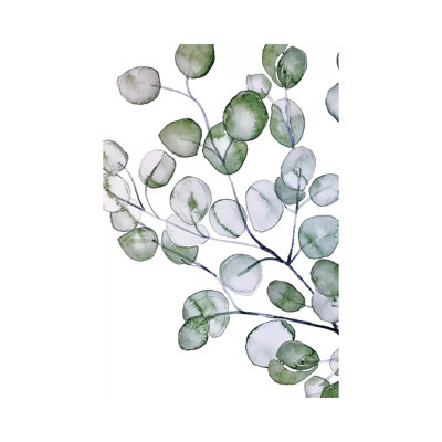 Eucalyptus by Monika Strigel - Painting on Canvas
