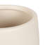 Figuier en figuier avec pot Portell-844837712-840316671