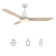 Koa 52" Smart Ceiling Fan With Remote, Light Kit Included, Works With Google Assistant And Amazon Alexa,Siri Shortcut.