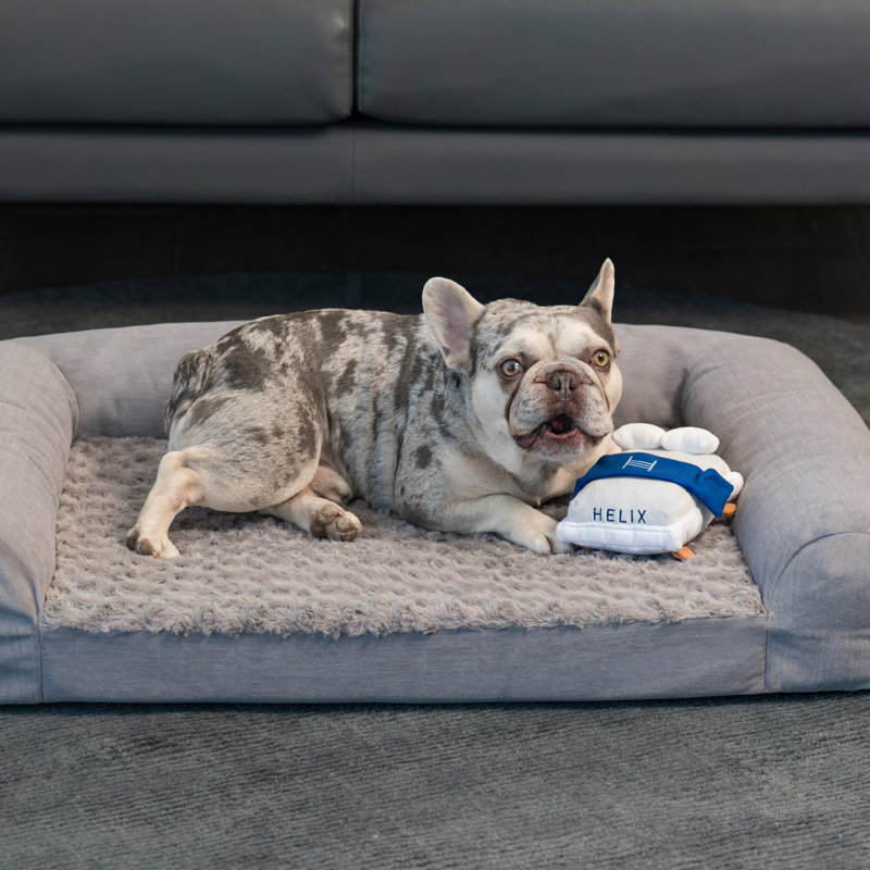  Pet Bed, Small, 35