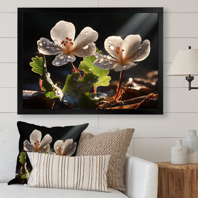 " Gray Geraniums Field III "