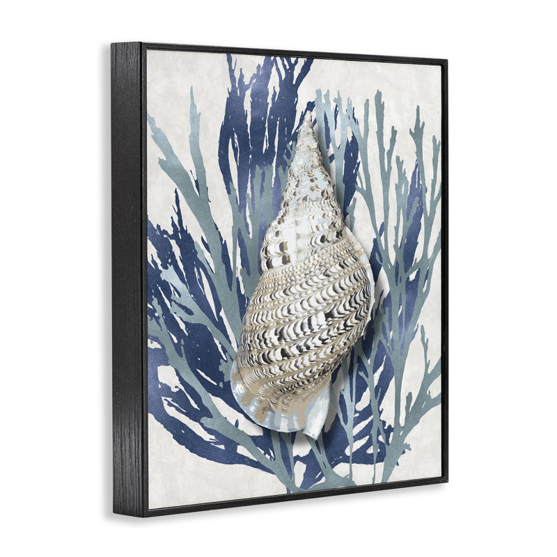 «Shell Coral Blue Beach» par Caroline Kelly - reproduction d'art, Giclée encadrée noir minuit, H 30 po x l 24 po