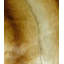 Gleaming Chinchilla Pillow Cover & Insert-1120452465-1120452475