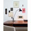 Mantis Desk Table Lamp