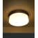 Devontra LED Flush Mount
