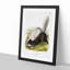 Texan Skunk by J.W. Audubon - Framed Print-55729601-55729604