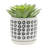 S/2 5/6" Aztec Planter W/ Saucer