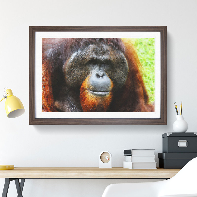 Orangutan Monkey Vol.1 - Framed Print, 27cm H x 36cm W x 2cm D, Walnut Framed