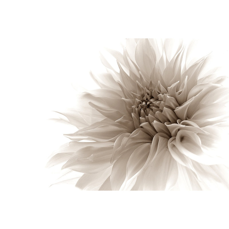 Wrapped Canvas Print, 50.8 cm H x 76.2 cm W