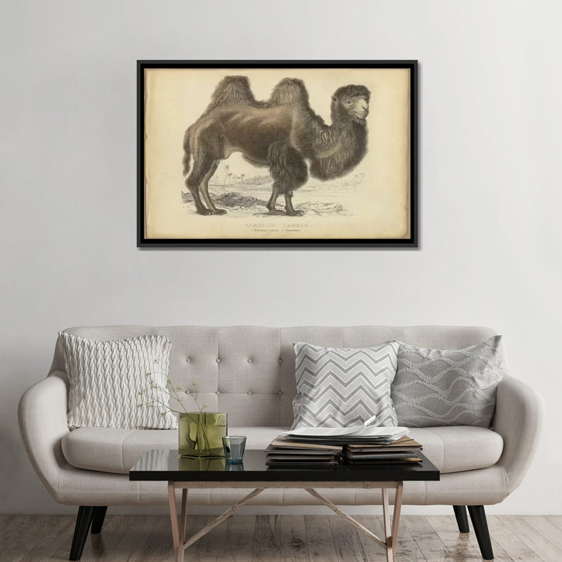 « mixte bactrian », reproduction sur toile, H 18 po x l 26 po x P 1,5 po, Toile encadrée noire, Pas de tapis