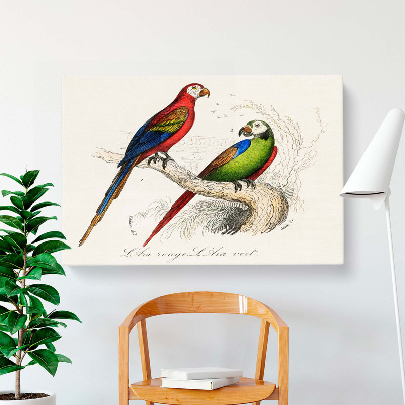 Macaw - Wrapped Canvas Painting, 50cm H x 76cm W x 3cm D