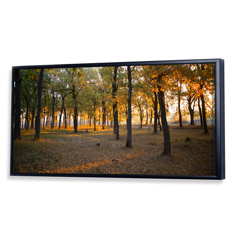 Lever de soleil sur la forêt d'automne - Photographie sur toile, Cadre noir, H 8 po x l 12 po x P 1 po