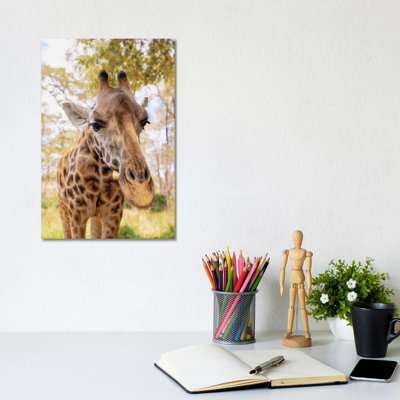 Curious Giraffe by Kathy Mansfield - Wrapped Canvas Gallery-Wrapped Canvas Giclée