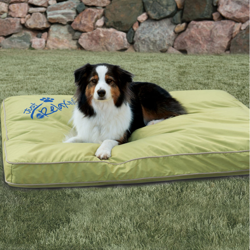 Coussin intérieur / extérieur pour chien Just Relaxin 'Classic, Vert, Petit (l 26 po x P 18 po)