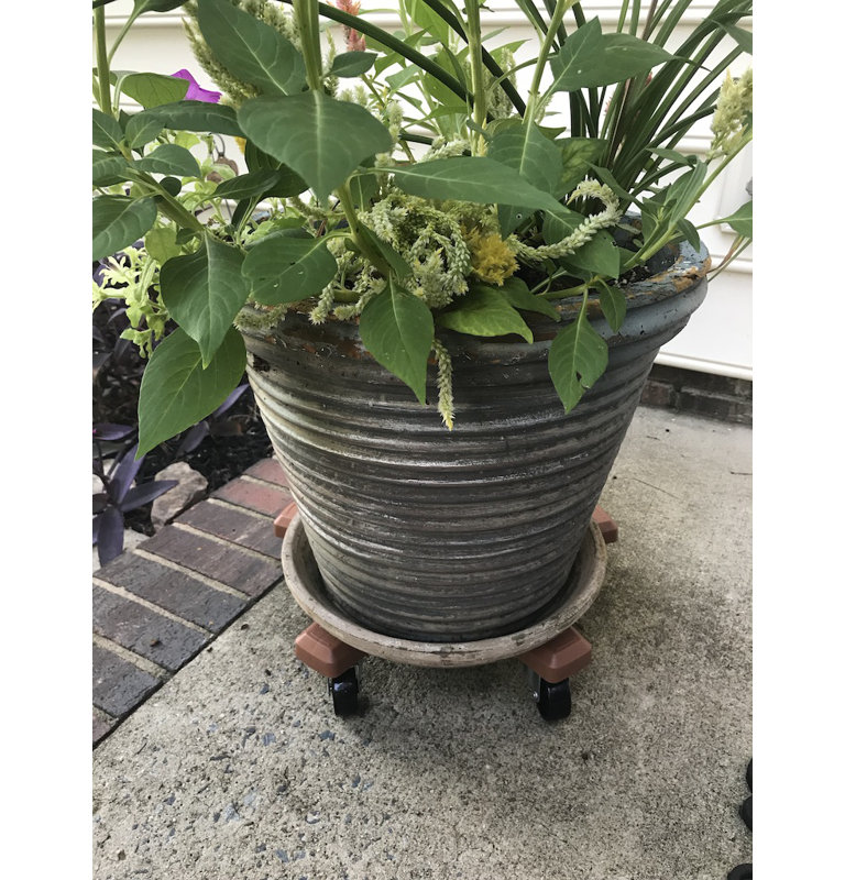 Terracotta Hexagon UV Resistant Plastic Plant Caddy with Wheels
