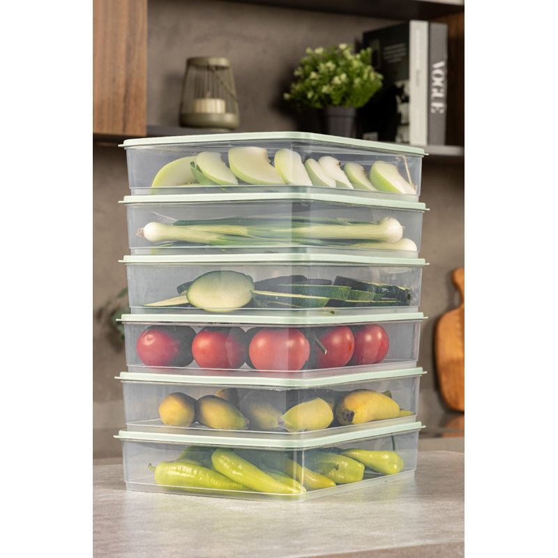 Mint Storage Box Set (6 Pieces), 9.1 x 11.6 x 2.6 Inches | 100% Plastic, 118.3 Fl Oz Total Capacity | Dishwasher Safe, Ideal for Organizing Home, Office, & Kitchen, Durable and Stylish Design