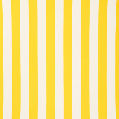 Cabana Stripe Indoor/Outdoor Fabric
