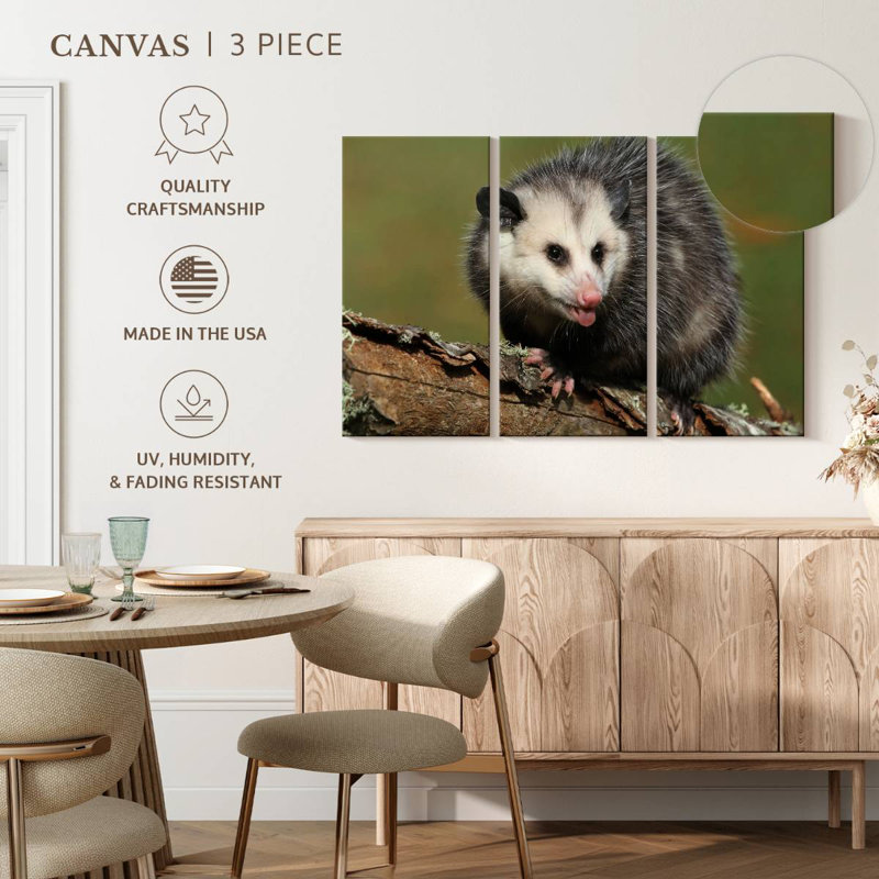 Brampt Angry Opossum, 32" H x 50" W