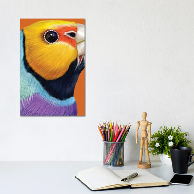Gouldian Finch by Giulio Rossi - Wrapped Canvas Print
