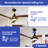 Jerlan 52'' Ceiling Fan with LED Lights-1884012210