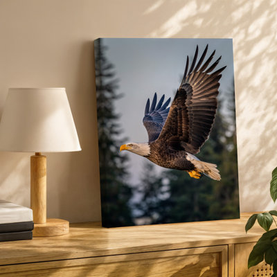 Canvas A Majestic Bald Eagle Soars Gracefully Against A Blurred Backdrop Wall Art Of Evergreen Trees Showcasing Its Striking Features Canvas Wall Art