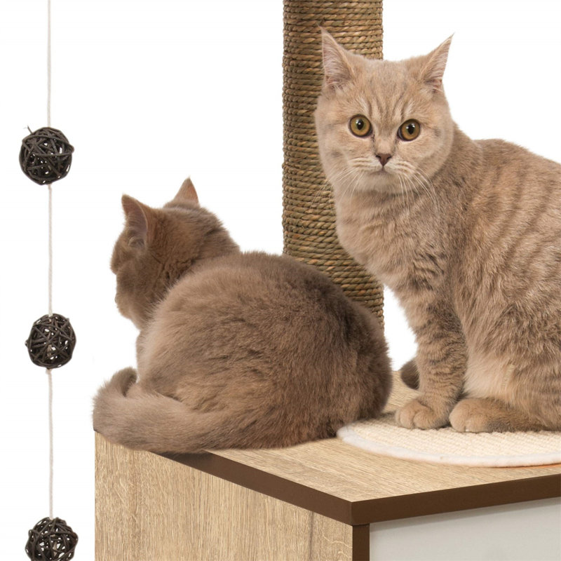 Tall Dark Brown Sisal Cat Tree with Oak Finish