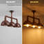 Cassander 3 - Light Pendant-181211682