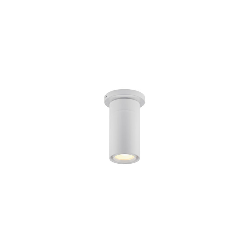 GX 25 LED Flush Mount, White