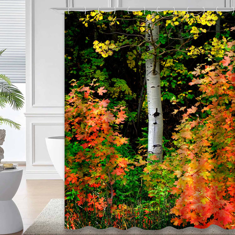 Rideau de douche Autumn Birch Tree, L 72 po x l 84 po
