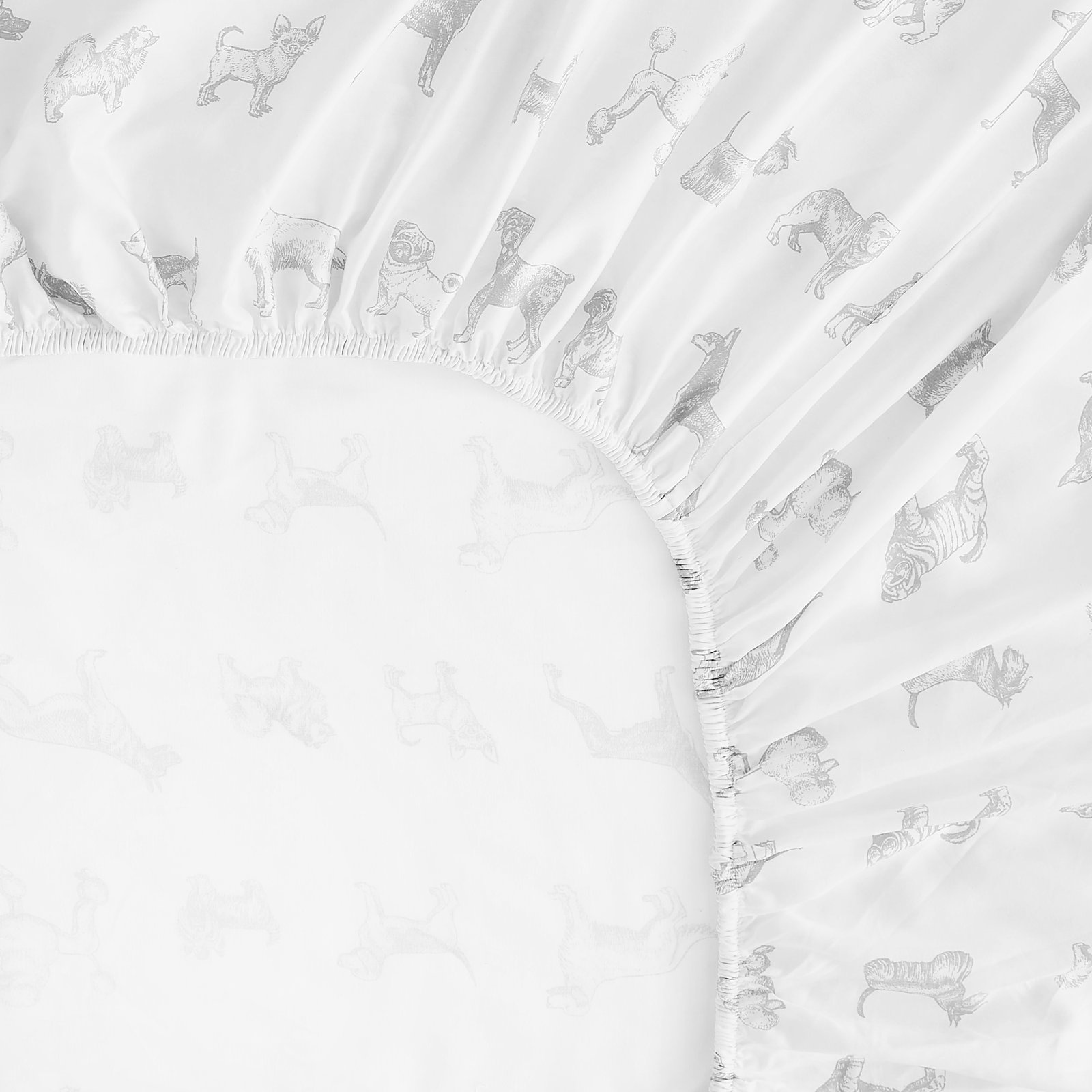 Auggie Cotton Sheet Set, Twin