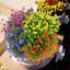 Plantes artificielles garanties artificielles, résistantes aux rayons UV et résistantes à la décoloration pour jardinières suspendues-503786376-503786383