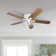 Allbaugh 52'' Ceiling Fan with Light Kit