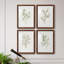 Simple Sprig I - ensemble de 4 reproductions de cadres photo-2075732646-2075732644