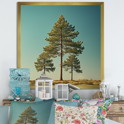 " Pine Tree Perspective In Forest I " Print