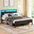 Bed Frame with Headboard, Metal Platform bed with LED Lights, Power Outlets & Under-Bed Storage-796309728