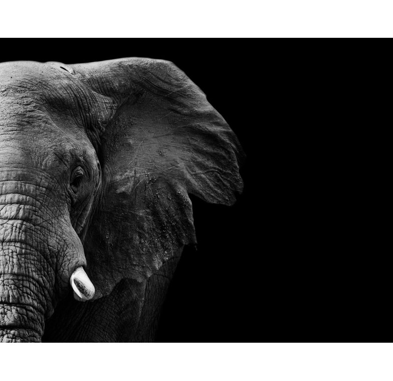 Wrapped Canvas Print, 81.28 cm H x 121.92 cm W