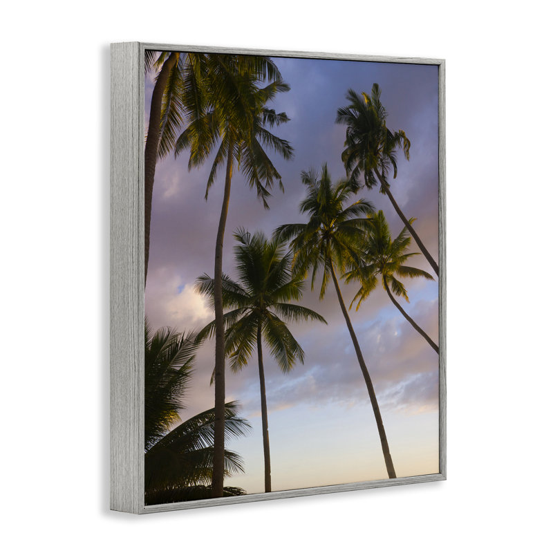 Boho Island Palms, estampe numérique, conception de Danita Delimont, Estampe numérique Farmhouse, H 14 po x l 11 po