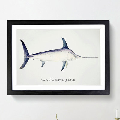 Illustration of a Swordfish by F.E. Clarke - Picture Frame Graphic Art Print