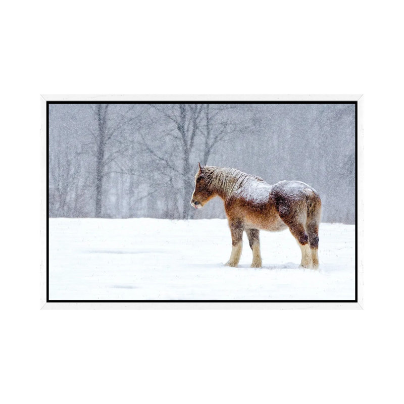 Stoic 1 Piece Wall Art on Canvas, 66.04 cm H x 45.72 cm W, White Framed