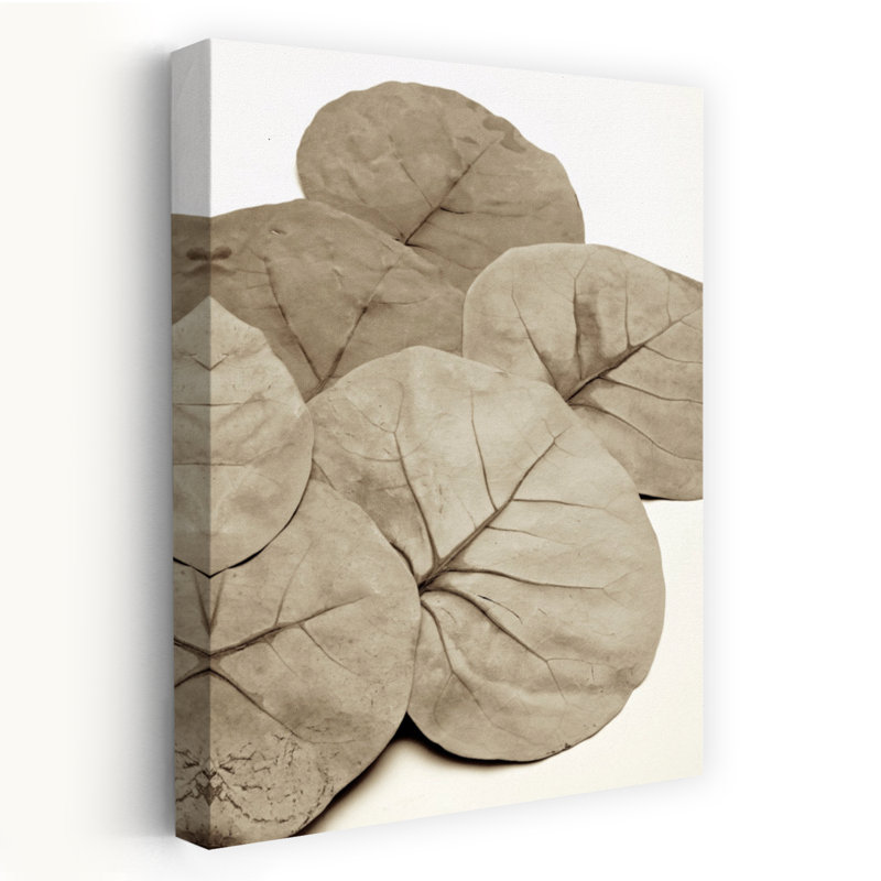 Jardin fleuri # 14 - Art photographique, H 24 po x l 16 po