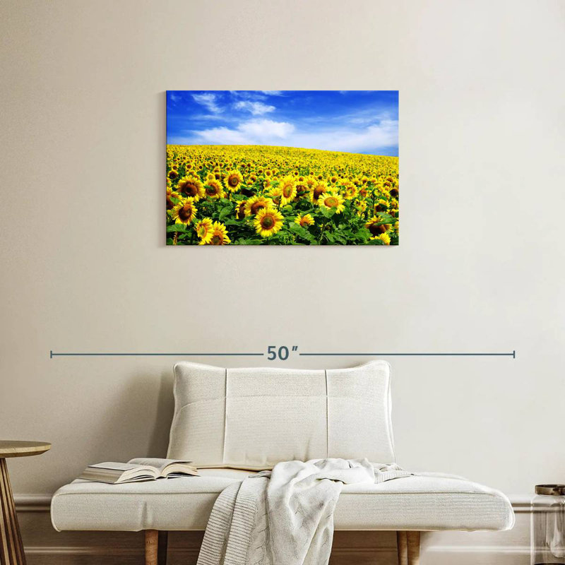 Tournesols d'Alvord sous un ciel bleu, H 20 po x l 30 po