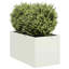 Metal Planter Box-1032581147-1032581152