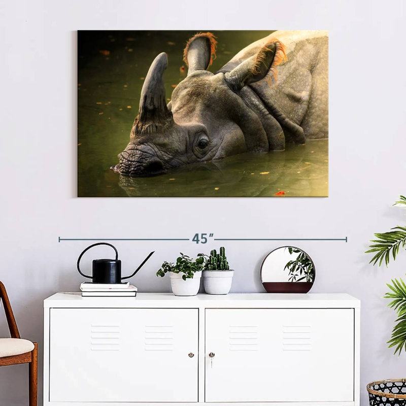 Crowle Rhino In Muddy Water